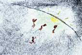 tripti_2